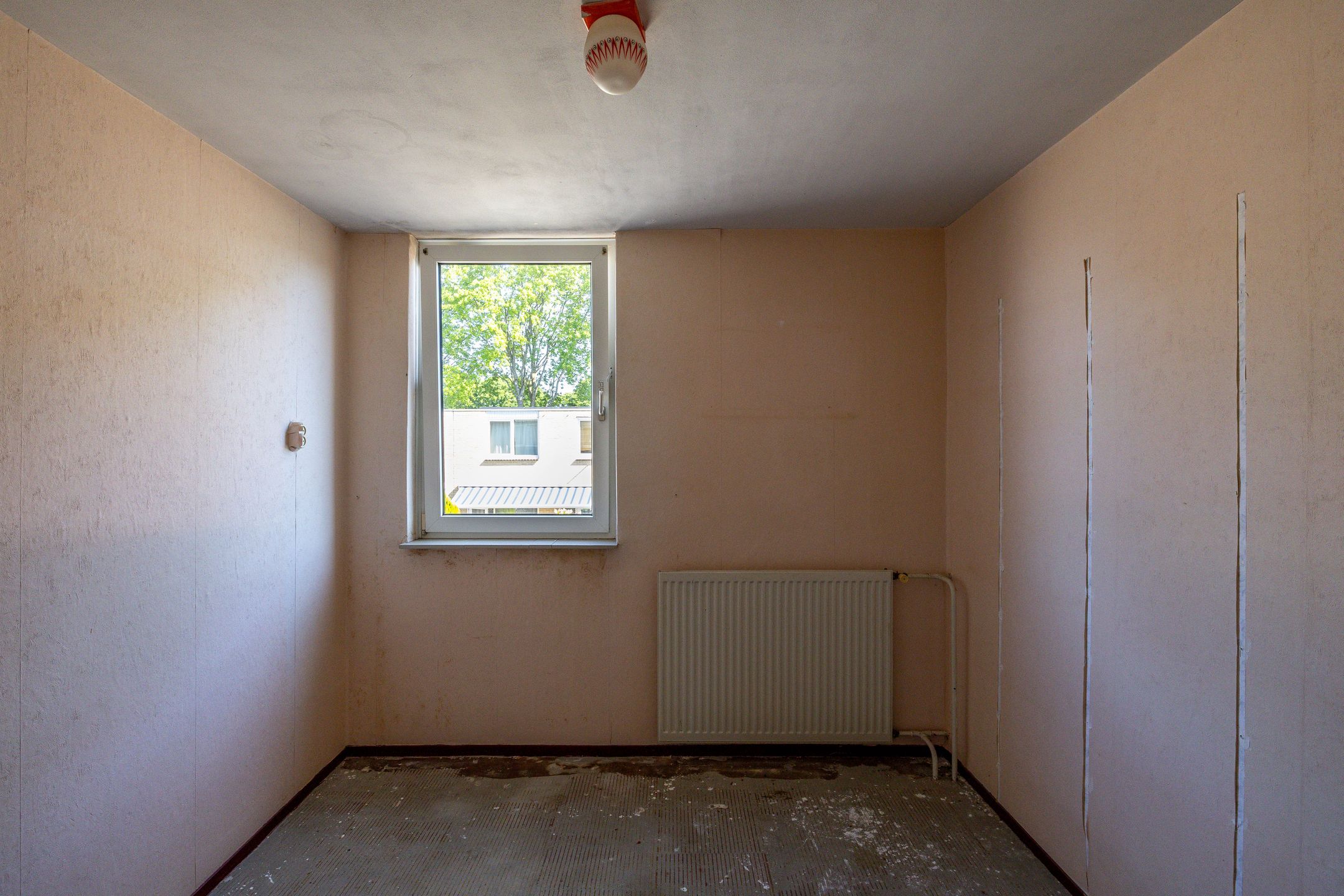 Foto 12 van Schorpioen 104