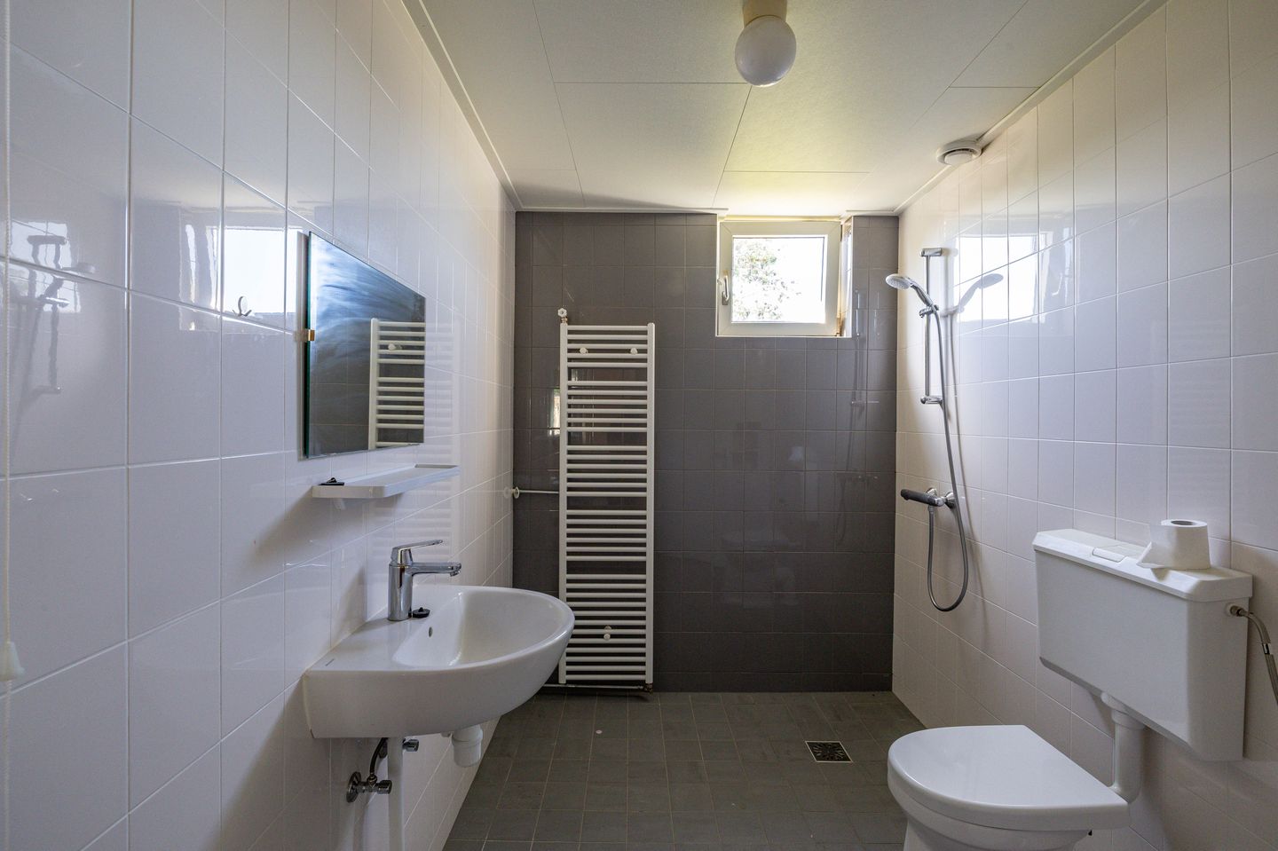 Foto 14 van Schorpioen 104