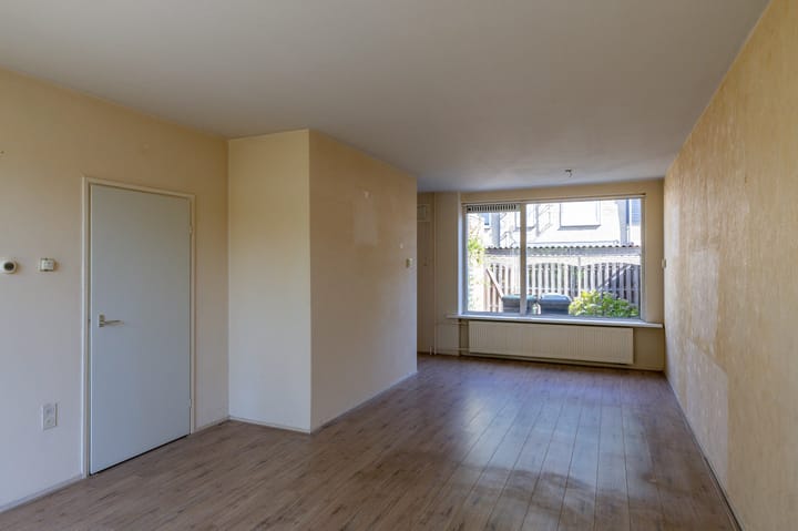 Foto 8 van Schorpioen 104