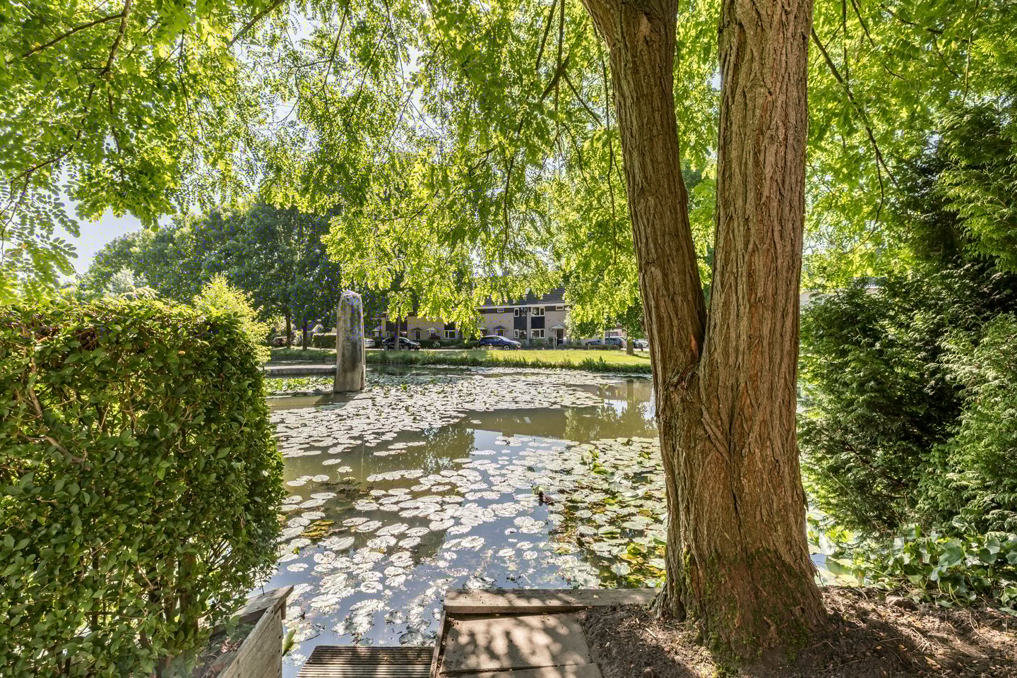 Foto 34 van Kievitsbloem 21