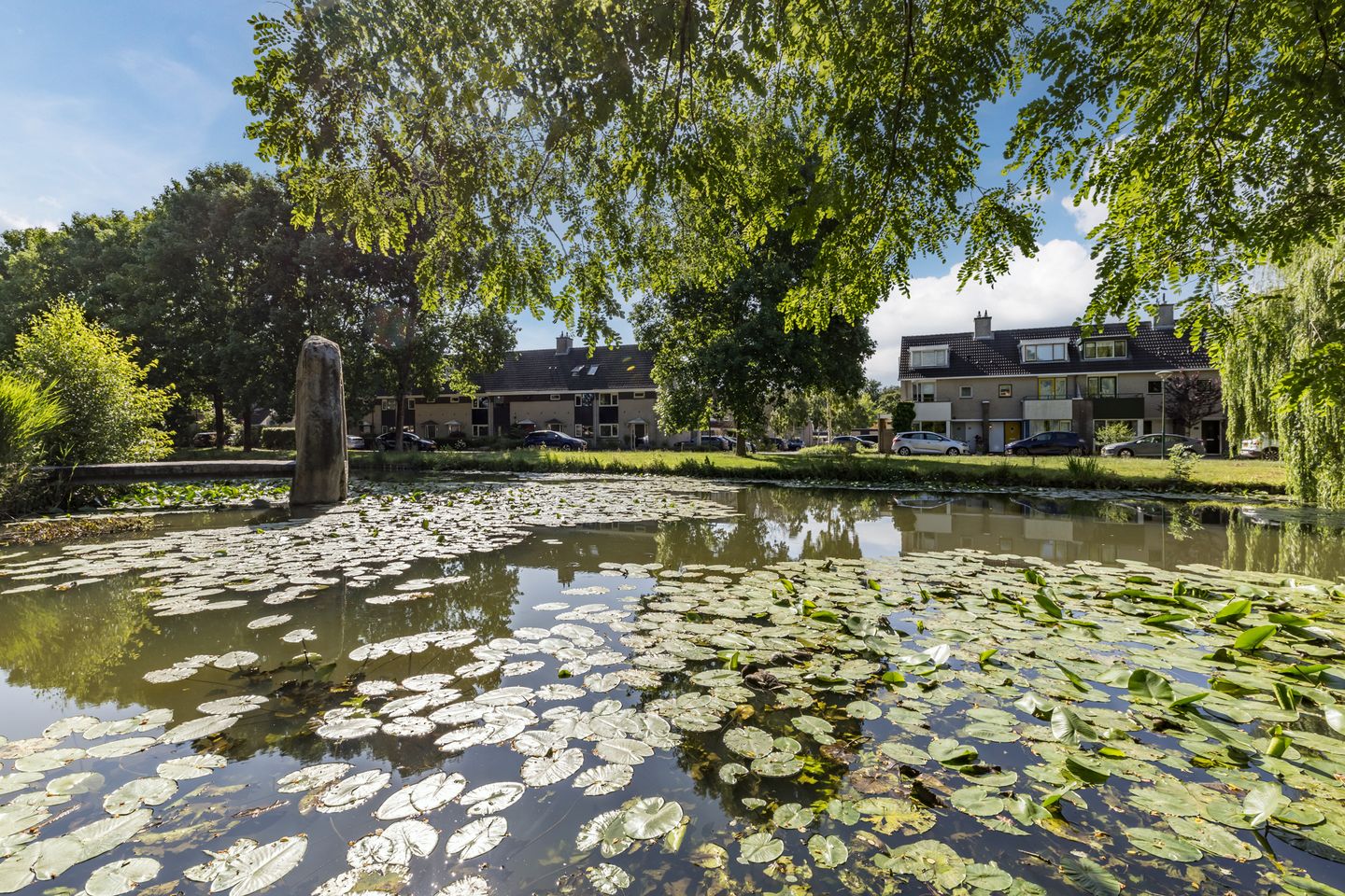 Foto 35 van Kievitsbloem 21