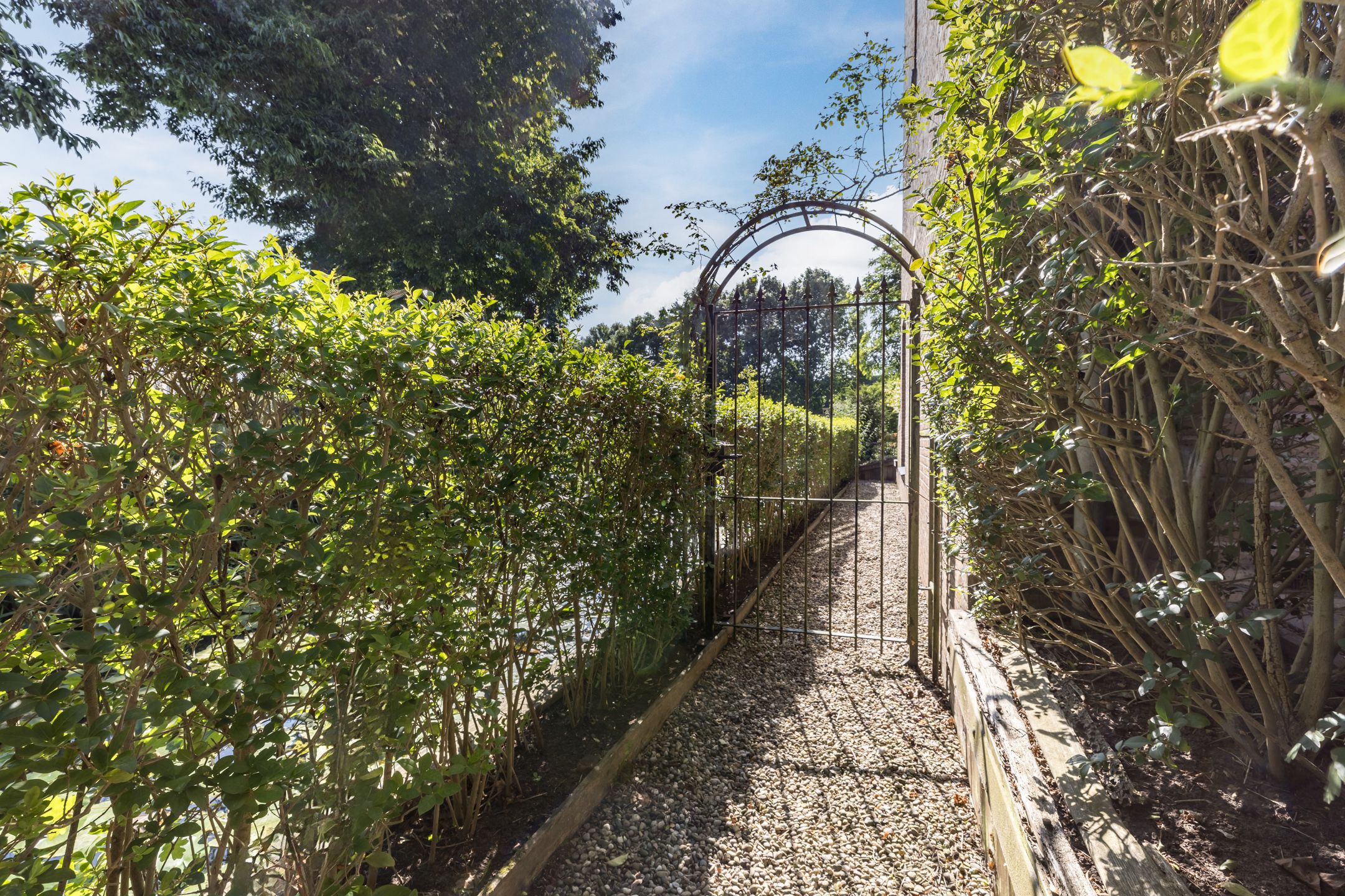 Foto 42 van Kievitsbloem 21