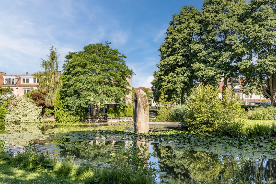 Foto 47 van Kievitsbloem 21