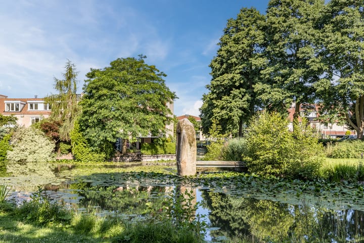 Foto 47 van Kievitsbloem 21