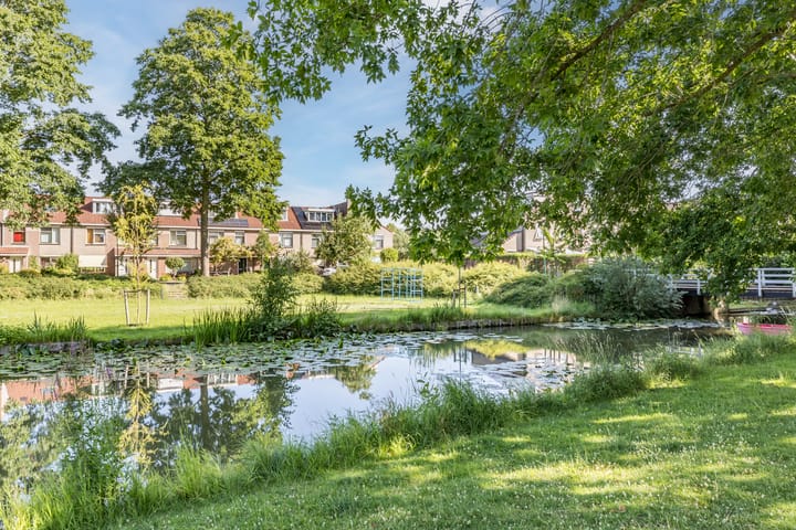 Foto 48 van Kievitsbloem 21