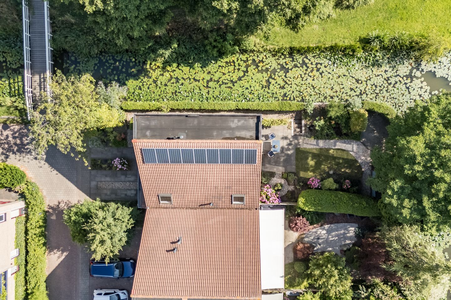 Foto 49 van Kievitsbloem 21