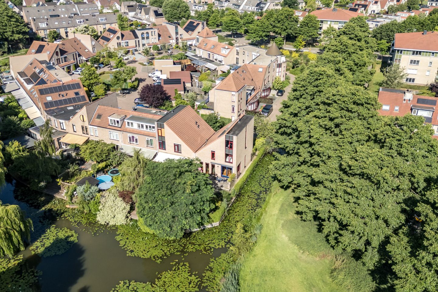 Foto 50 van Kievitsbloem 21