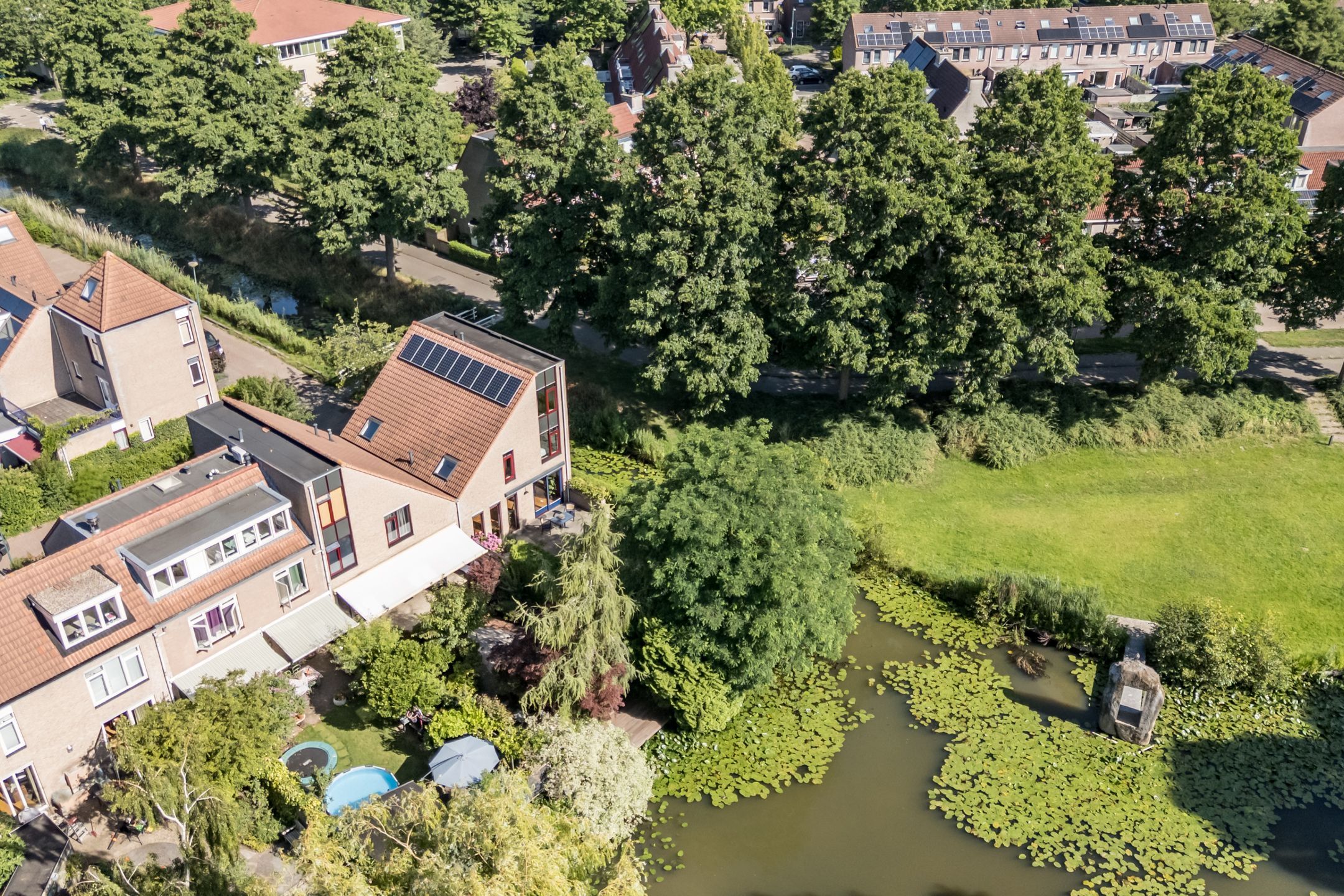 Foto 51 van Kievitsbloem 21