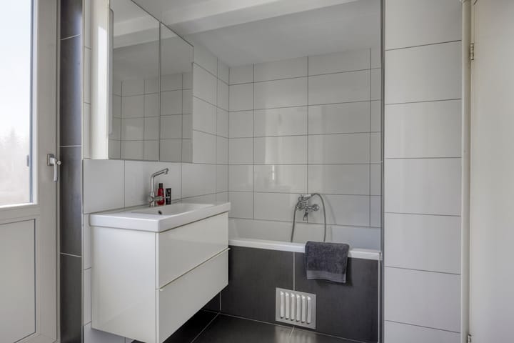 Photo 23 of Merelstraat 109