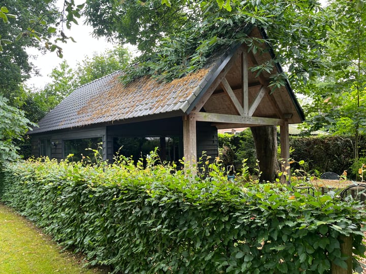 Foto 6 van Prins Bernhardlaan