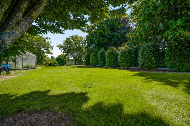 Foto 6 van Haelenerweg 17