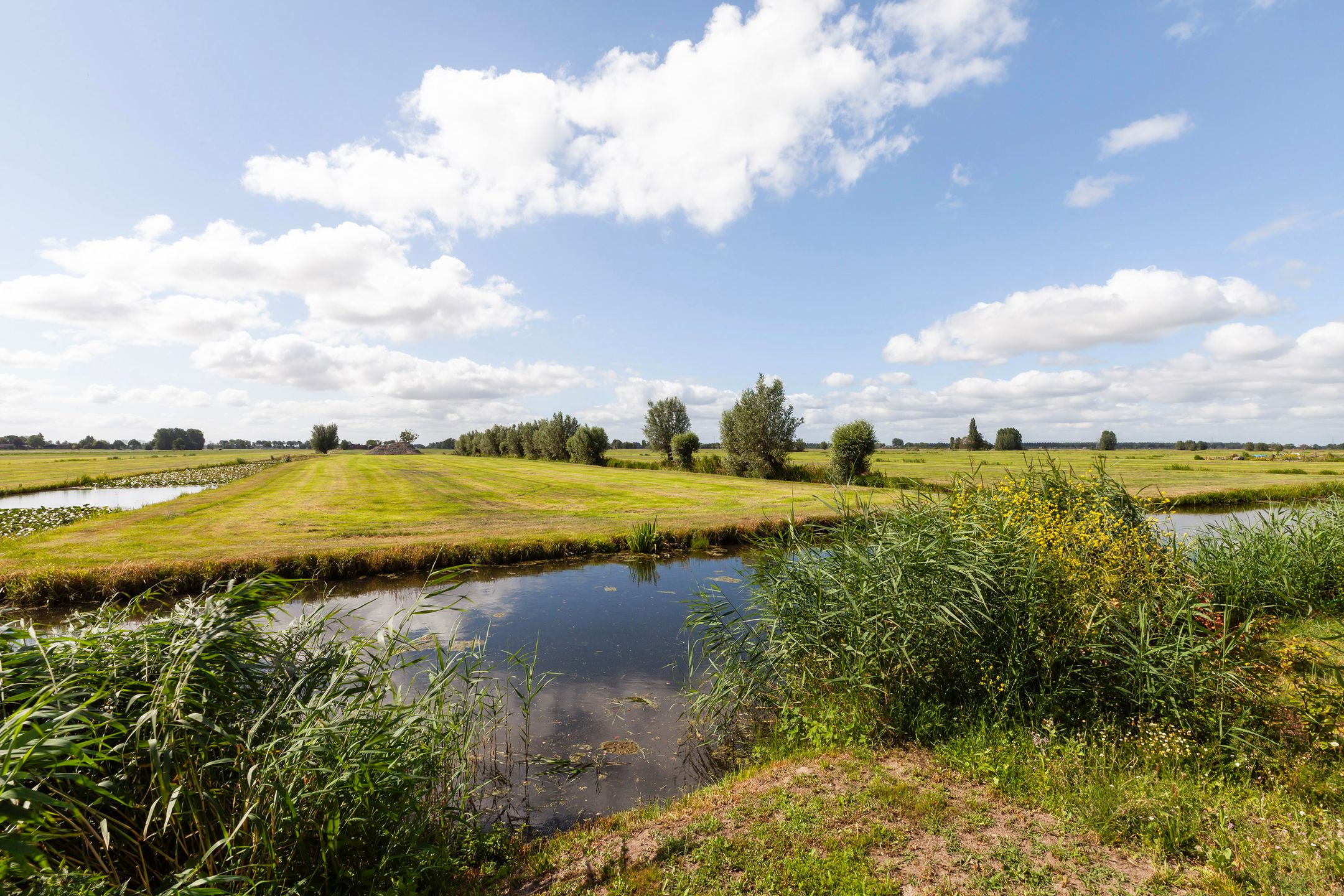 Foto 39 van Ocker Repelaerstraat 44