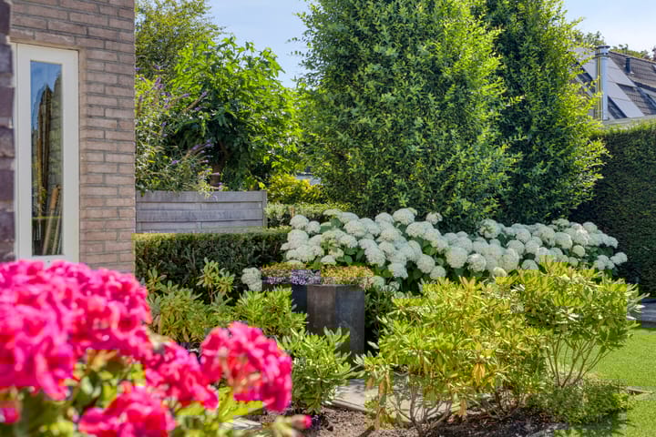 Foto 3 van Homerusstraat 40