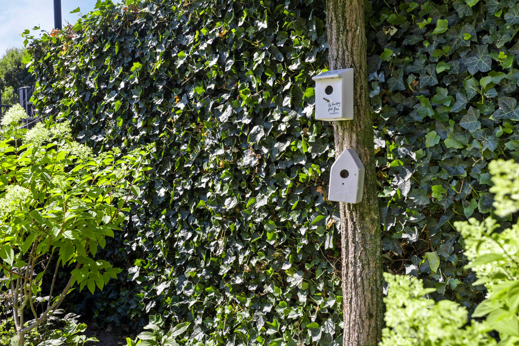 Foto 42 van Homerusstraat 40