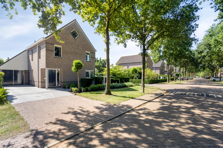 Foto 45 van Homerusstraat 40