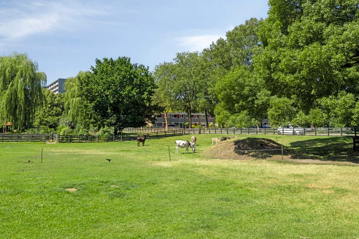 Foto 47 van Homerusstraat 40