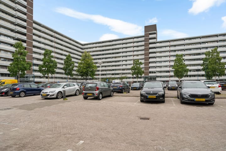 Foto 5 van Belvédèrebos 201