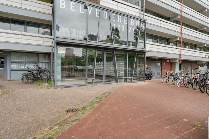 Foto 7 van Belvédèrebos 201