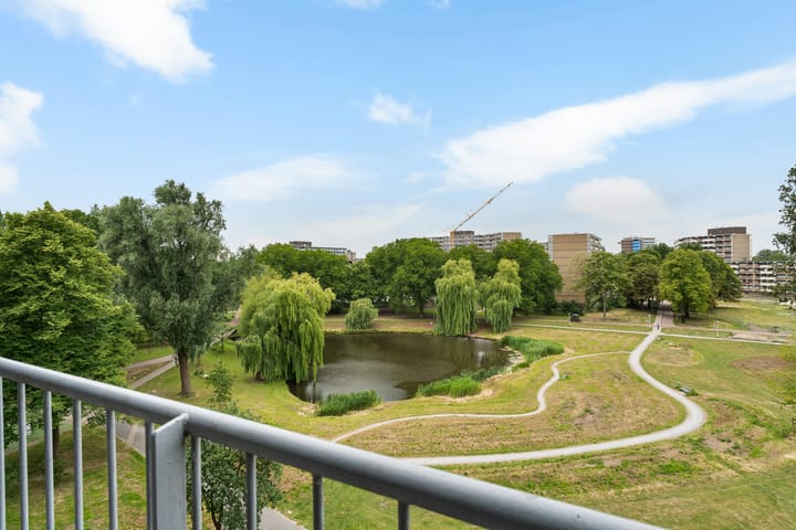 Foto 47 van Belvédèrebos 201