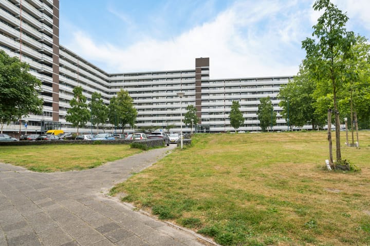 Foto 48 van Belvédèrebos 201