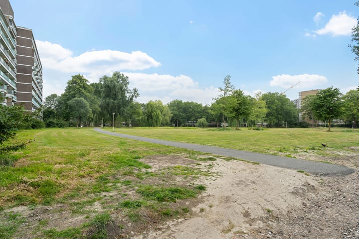 Foto 50 van Belvédèrebos 201