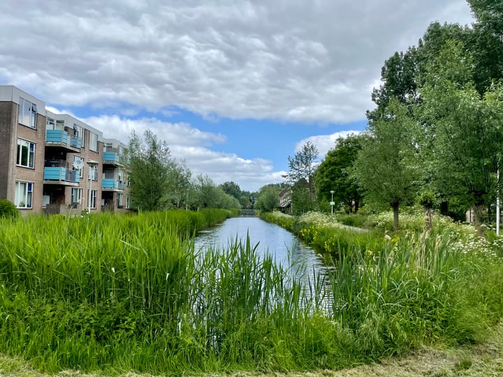 Foto 2 van Eikenhorst 309