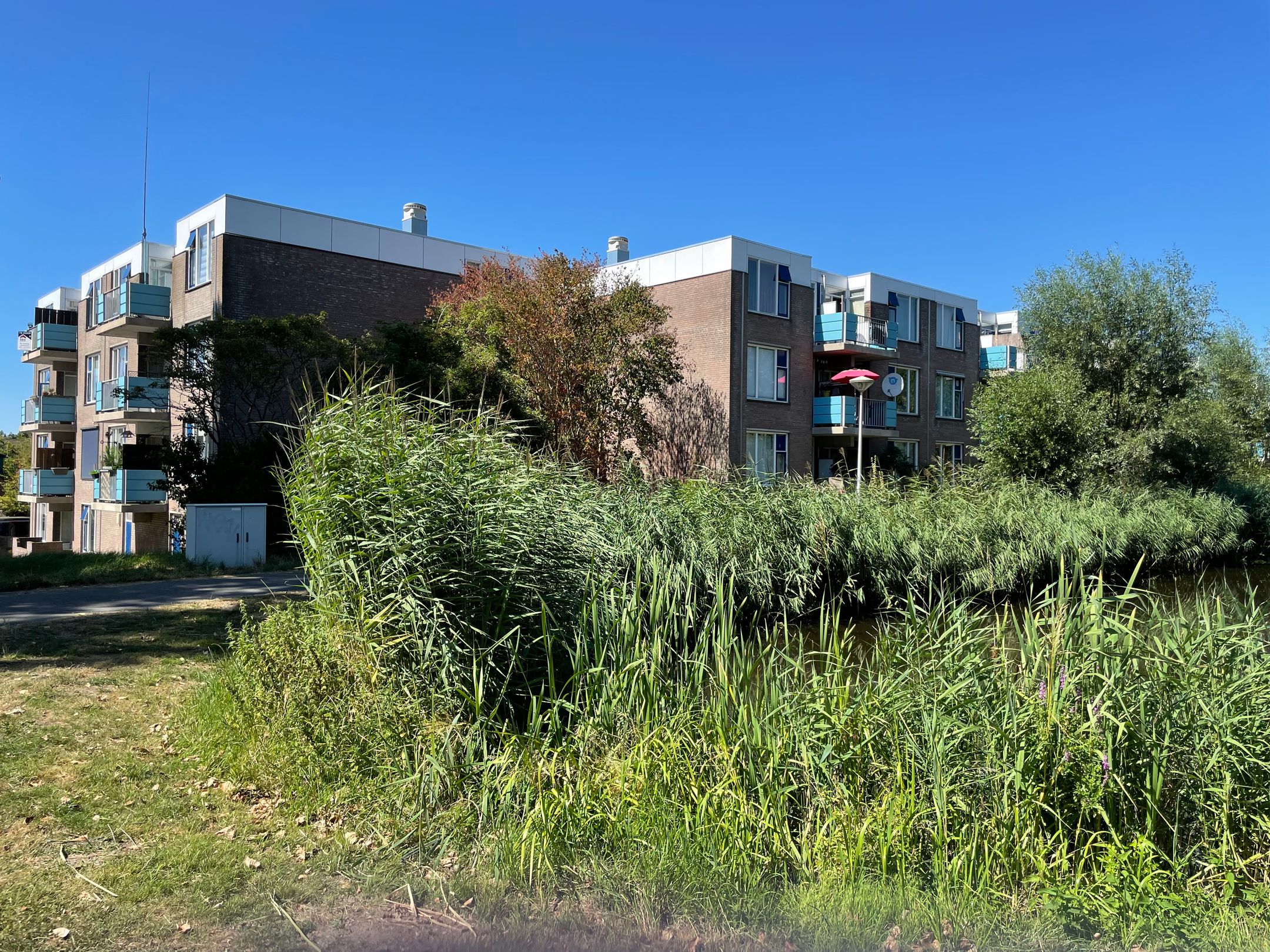 Foto 15 van Eikenhorst 309