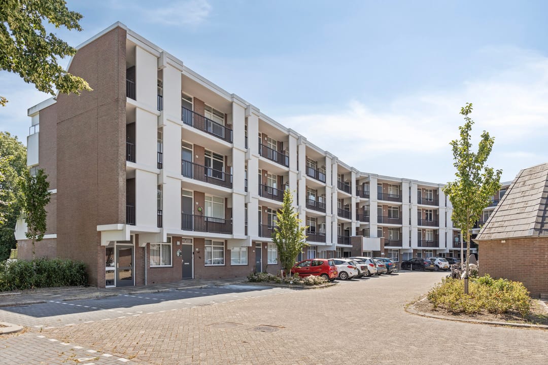 Foto 22 van Rigoletto 75