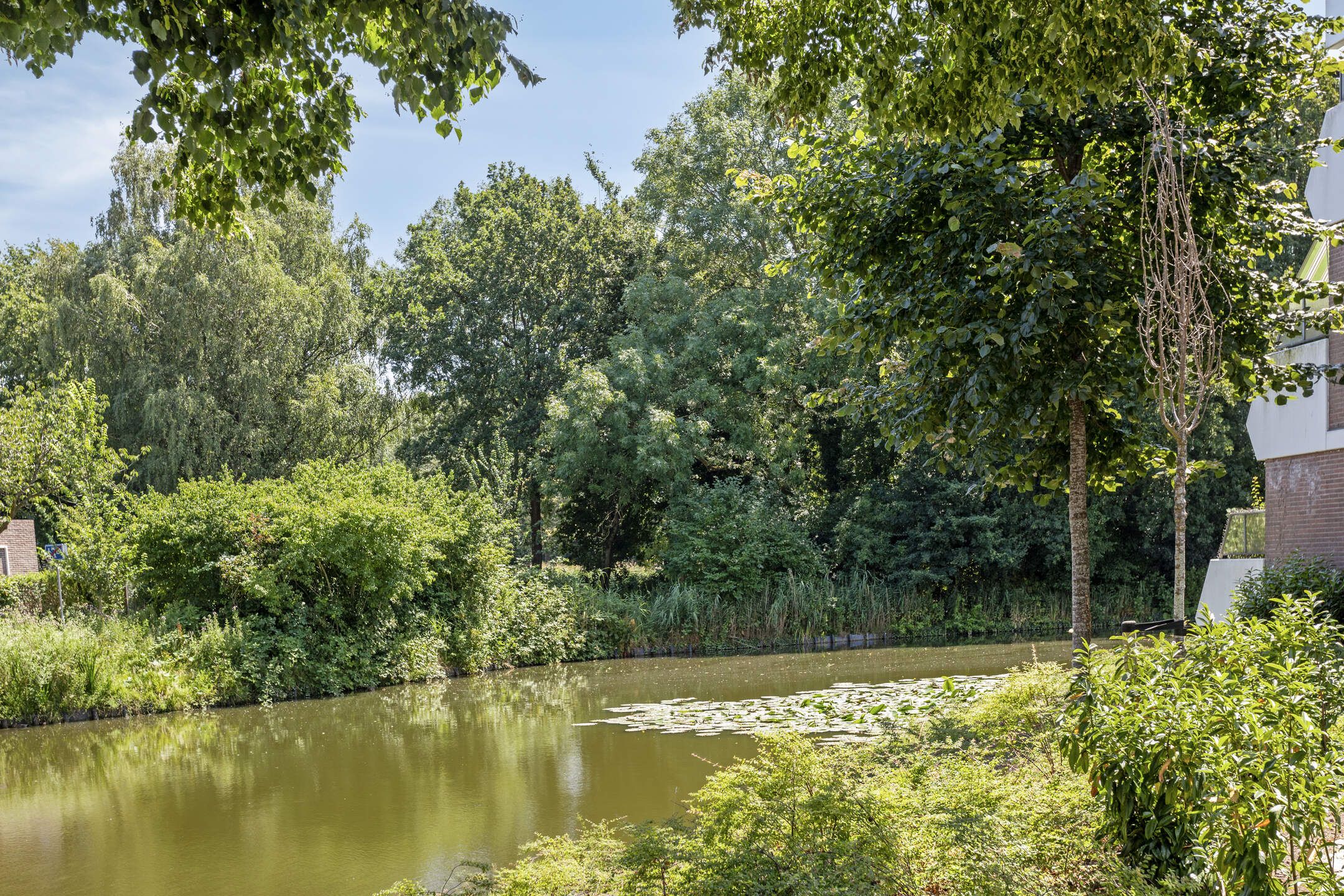 Foto 24 van Rigoletto 75