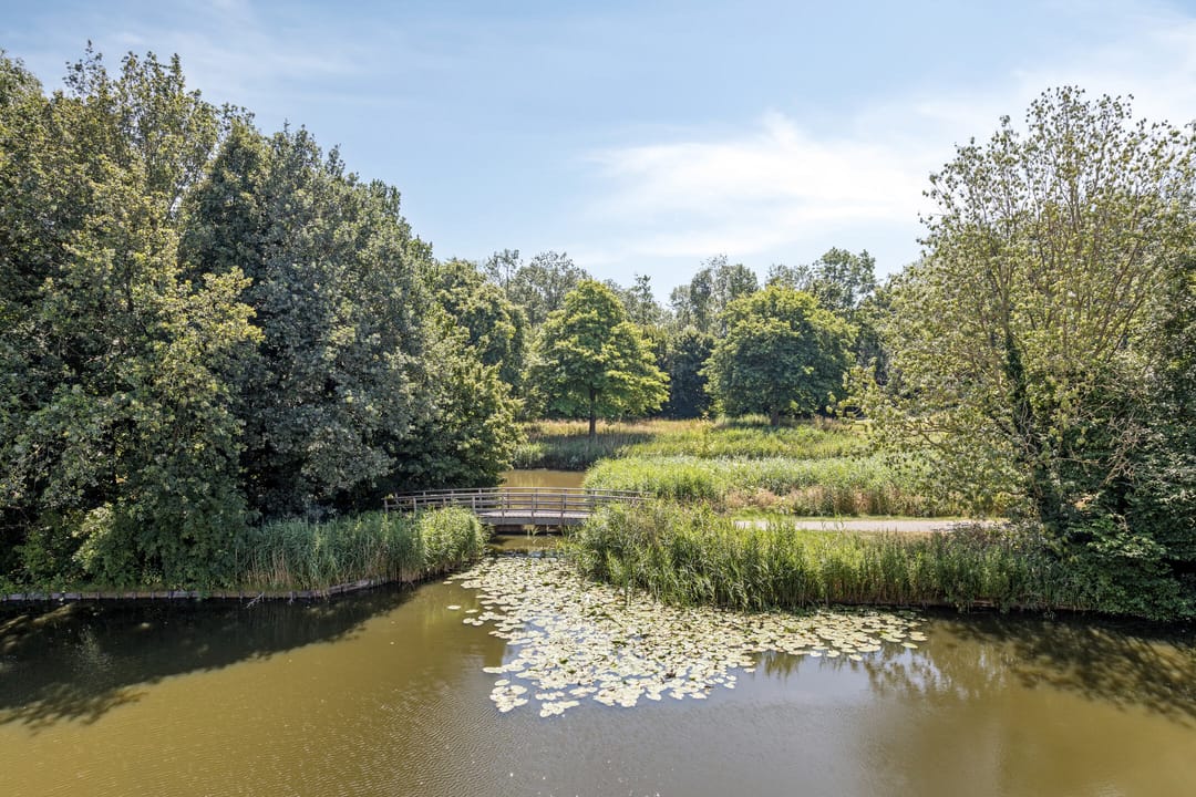 Foto 23 van Rigoletto 75