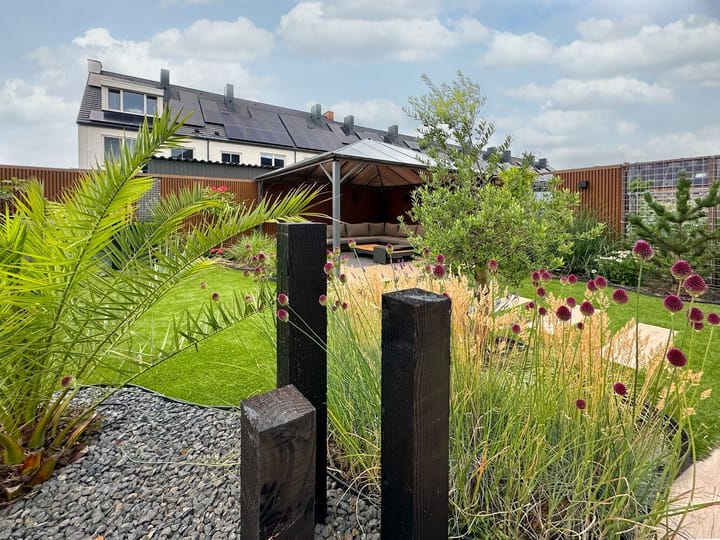 Foto 45 van Rozet 19