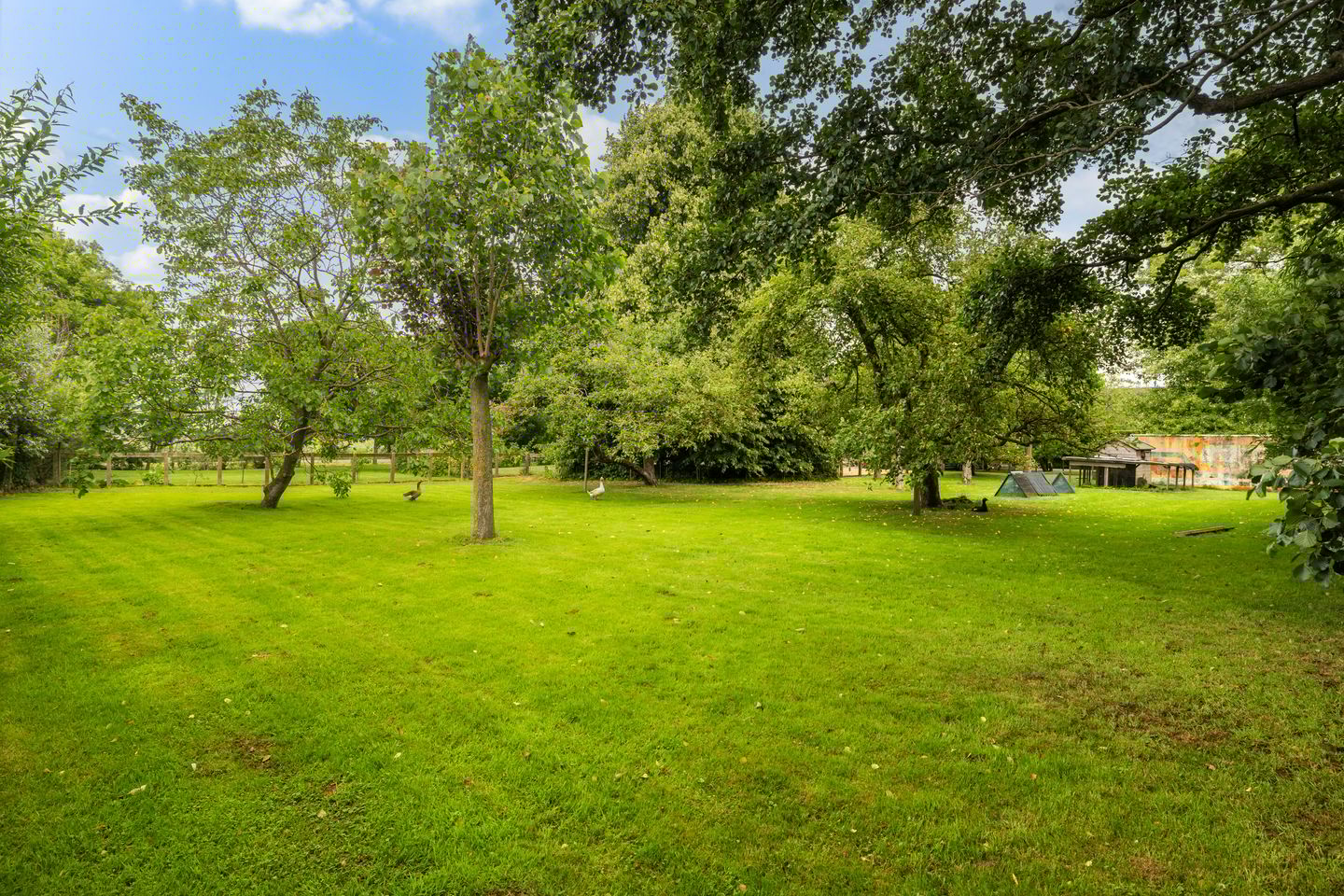 Foto 44 van Oosteinde 32-A