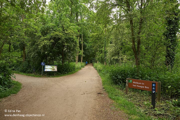 Foto 24 van Cornelis van der Lijnstraat 23