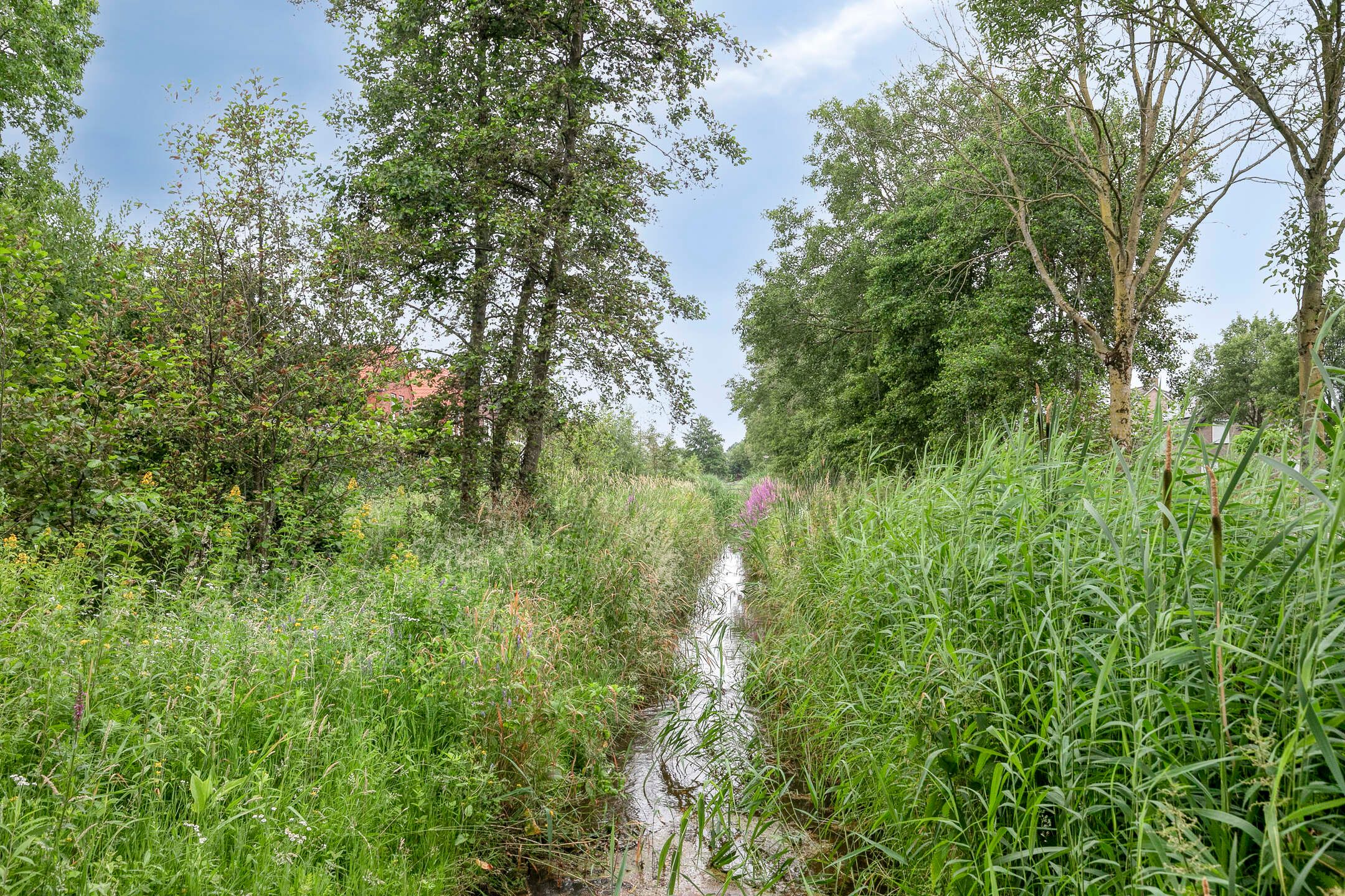 Foto 48 van Bunder 16