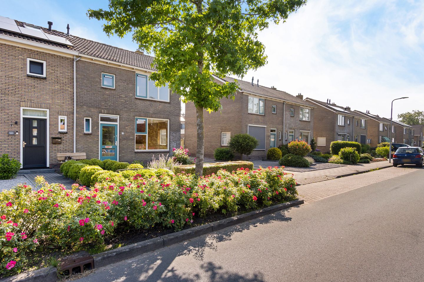 Foto 20 van Molenstelle 7