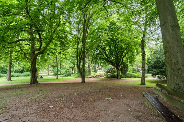 Foto 61 van Borneostraat 9