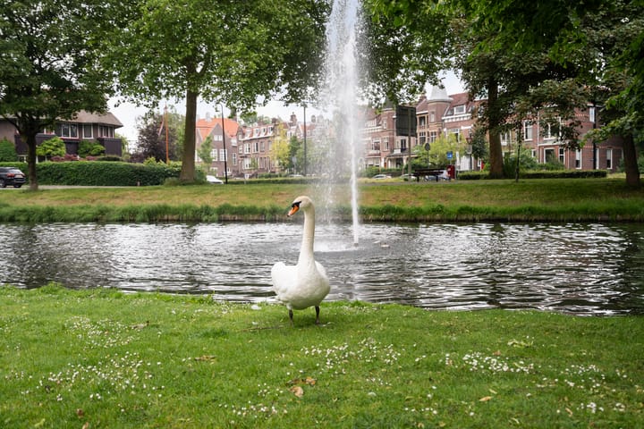 Foto 63 van Borneostraat 9