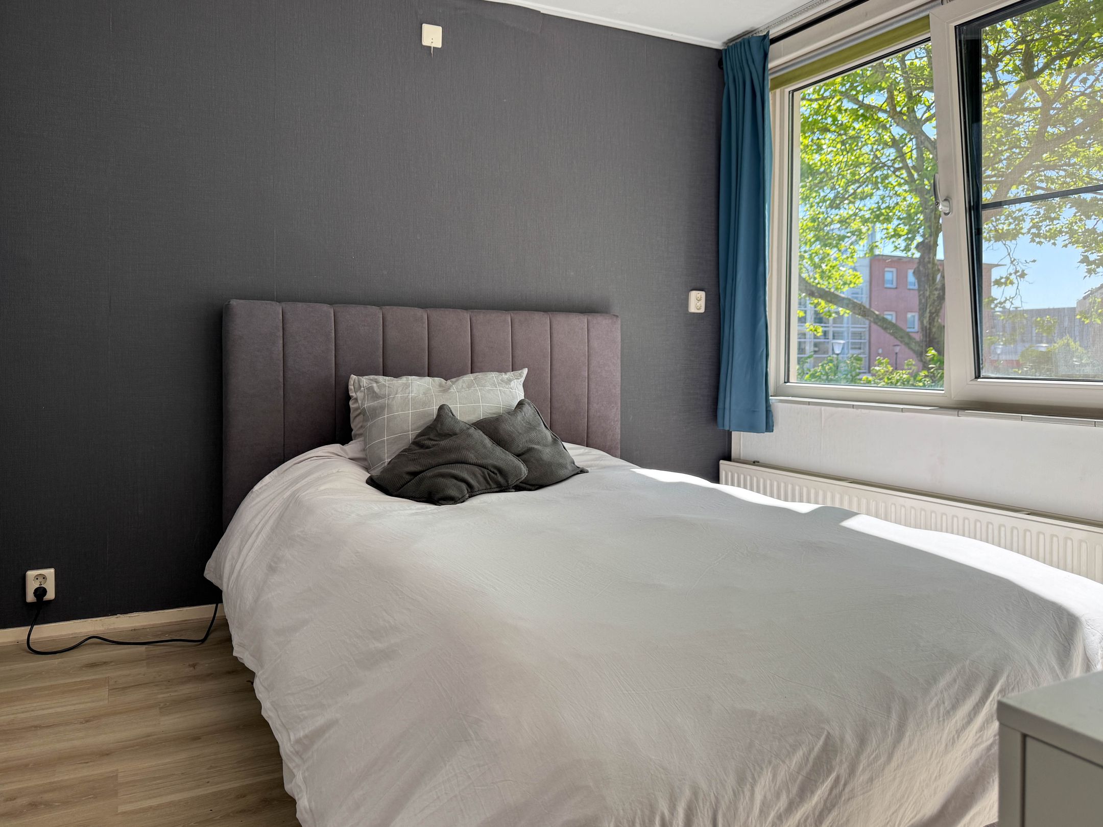 Foto 18 van Basiusstraat 13