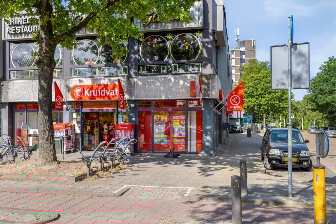 Foto 28 van Kastelenplein 106