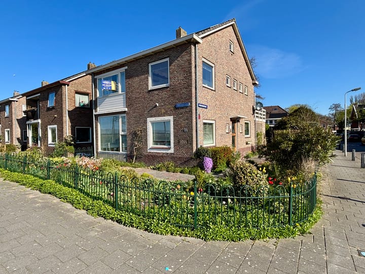 undefined main image
