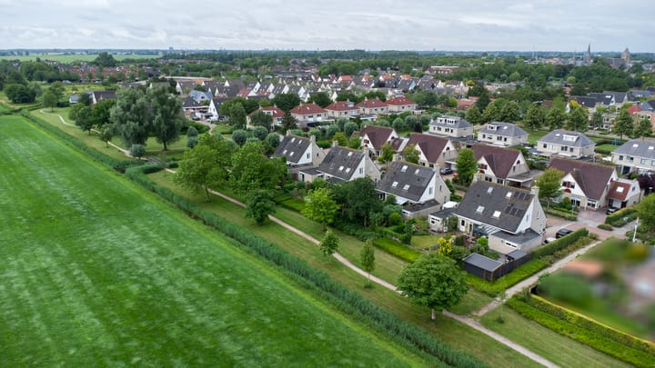 Foto 8 van Buizerd 13