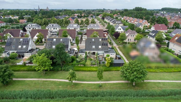 Foto 9 van Buizerd 13