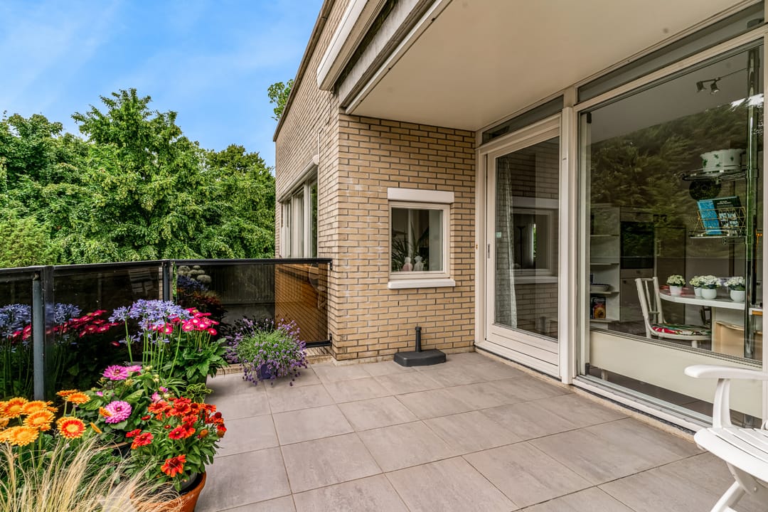 Photo 2 of Kastanjelaan 239