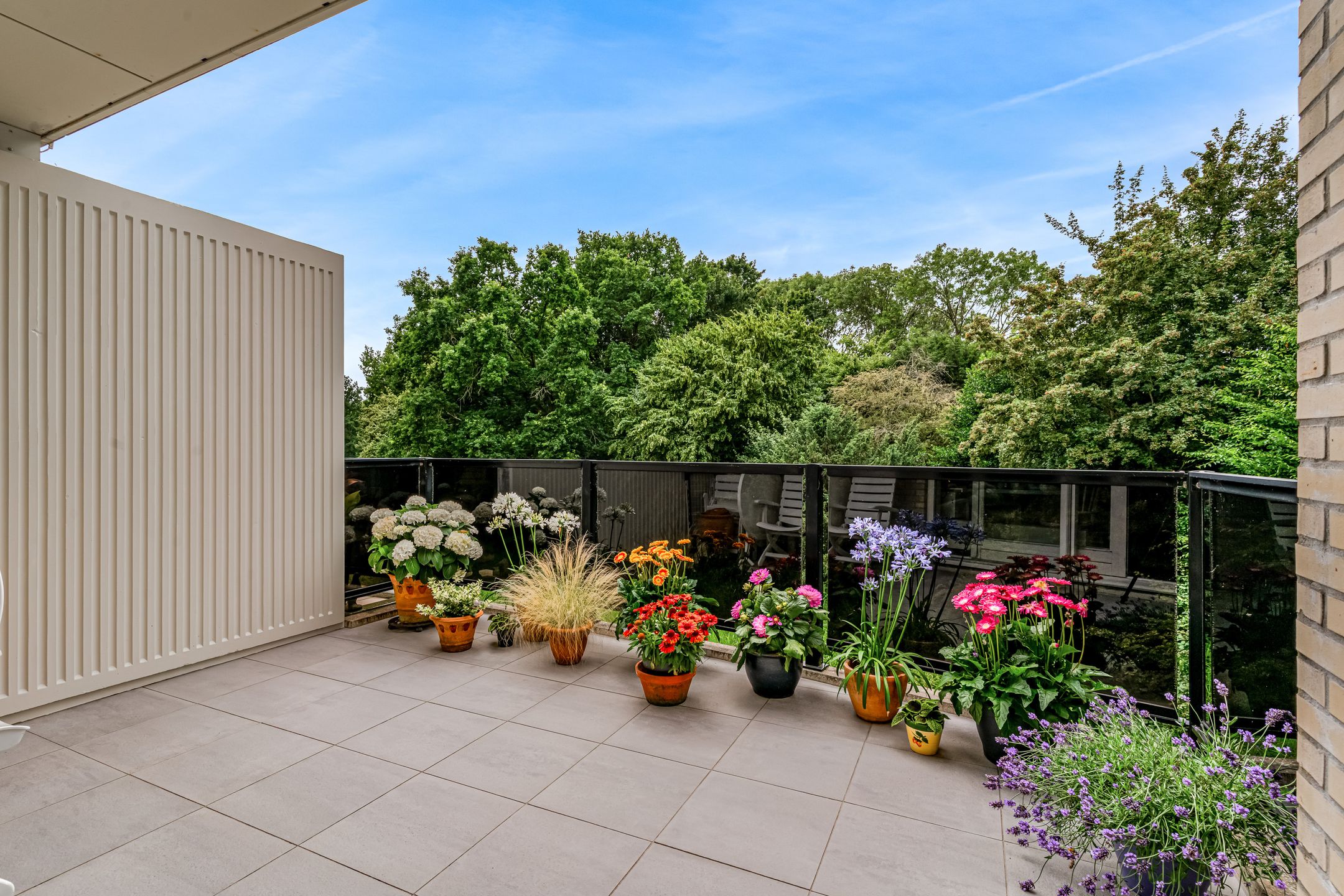 Photo 33 of Kastanjelaan 239