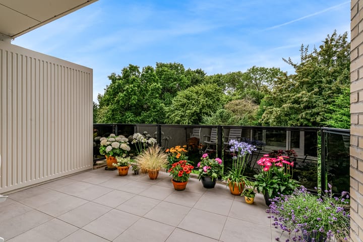 Foto 33 van Kastanjelaan 239