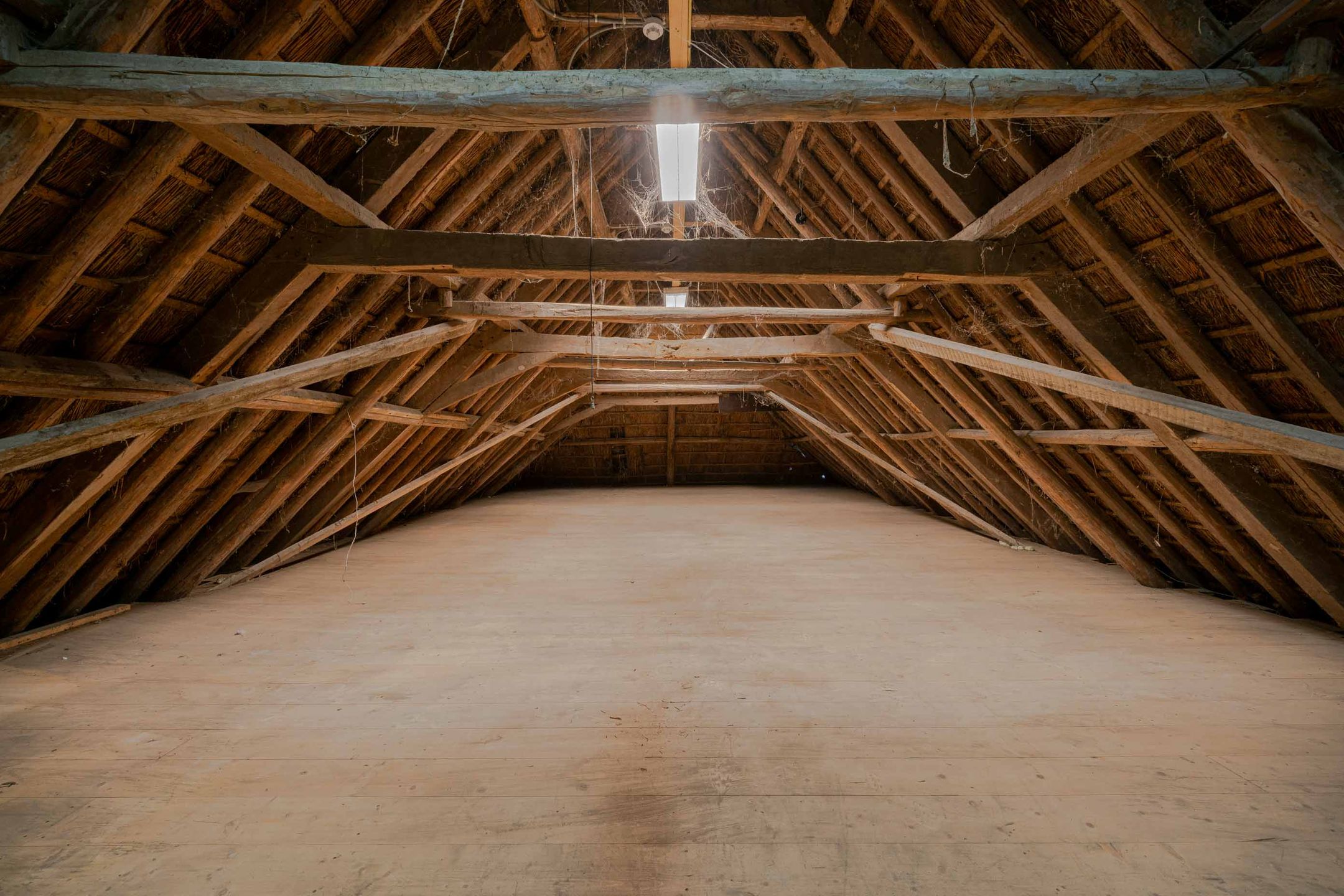 Foto 45 van Haulewei 24