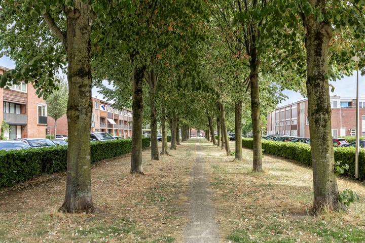 Foto 21 van Boedapestlaan 107