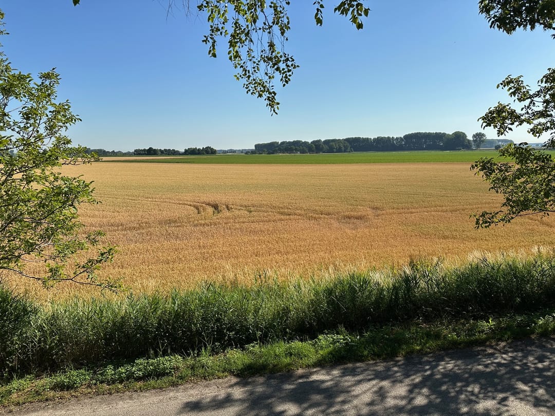 Foto 22 van Notendijk 70