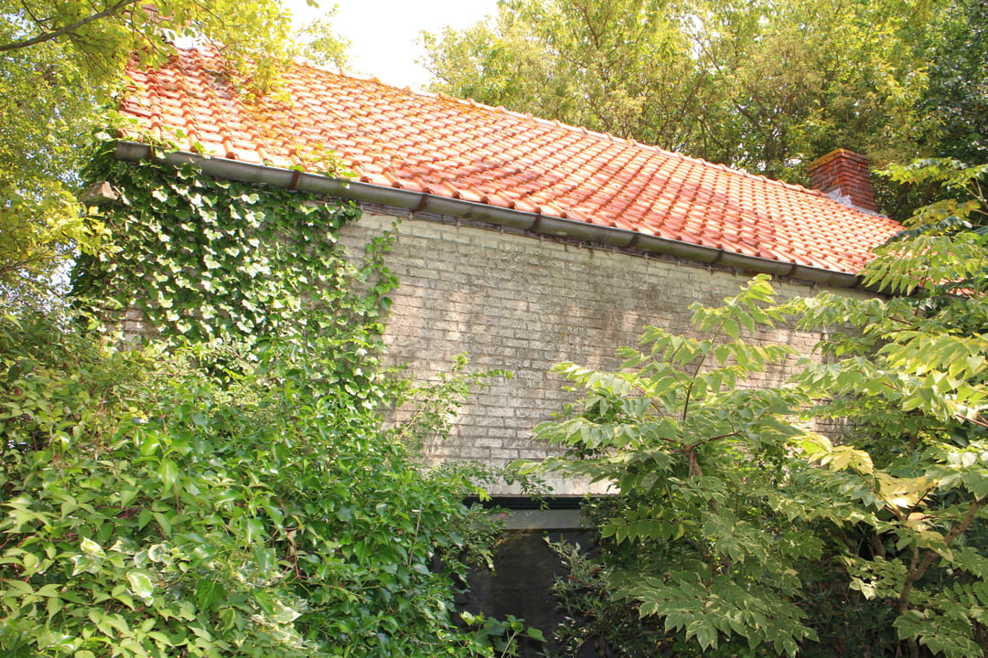 Foto 23 van Notendijk 70