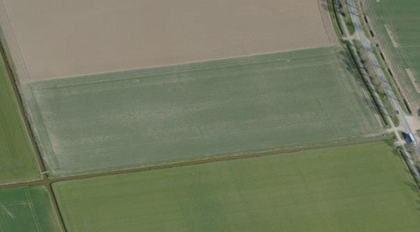 Bekijk foto 3 van Woudrichemseweg